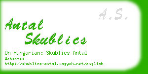 antal skublics business card